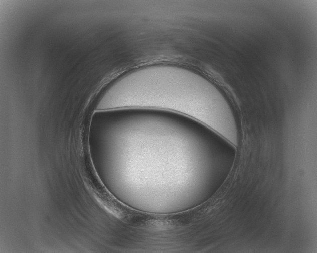 X0000081500250200701121146