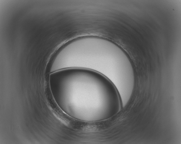 X0000081500252200701121146