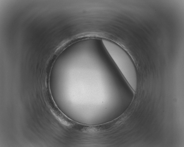 X0000081500253200701121146