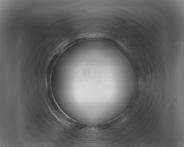 X0000081500254200701121146