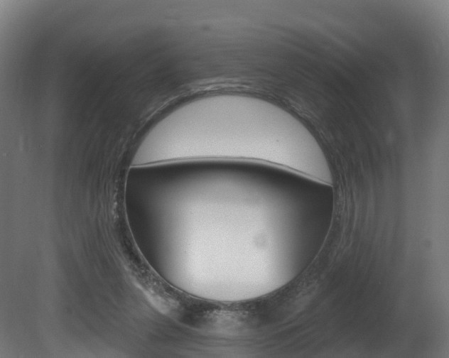 X0000081500255200701121146