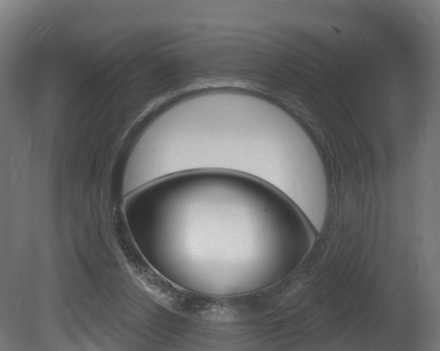 X0000081500256200701121146