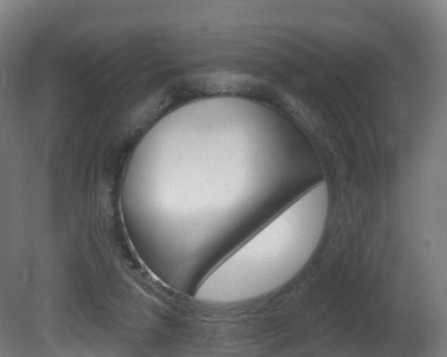 X0000081500258200701121146