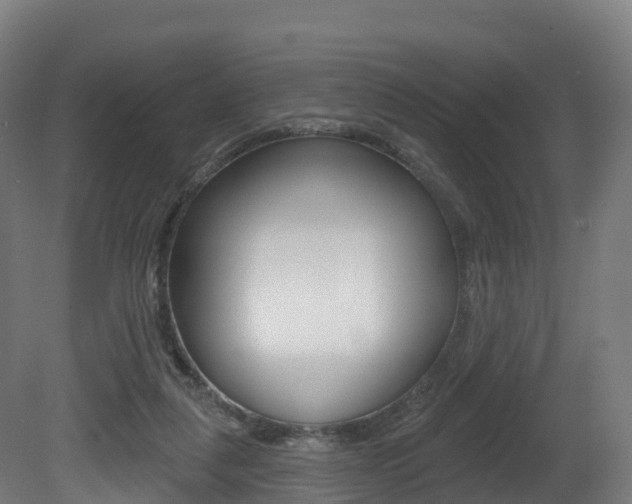 X0000081500259200701121146