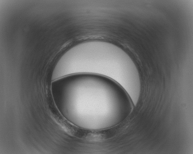X0000081500260200701121146
