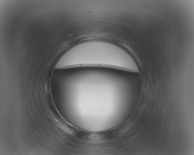 X0000081500261200701121146