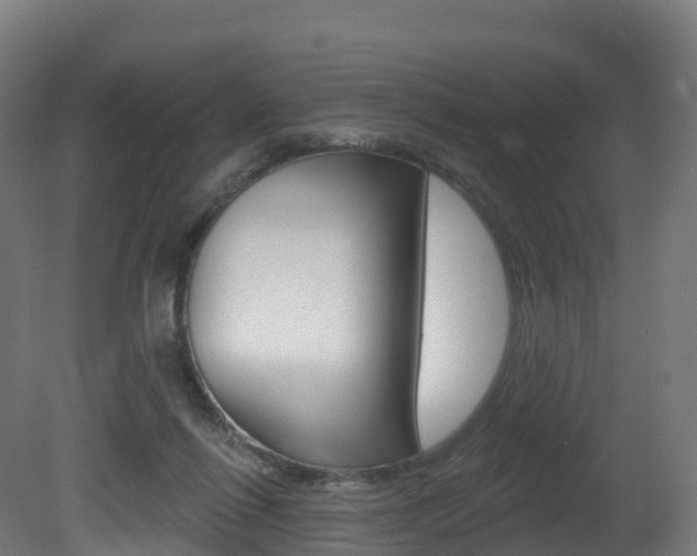 X0000081500262200701121146