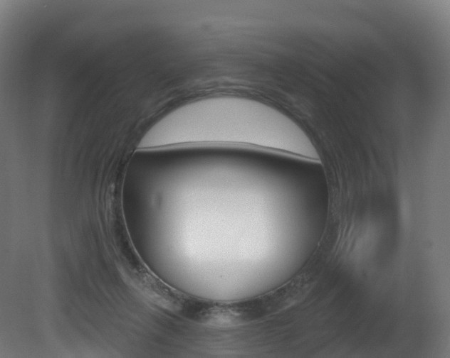 X0000081500263200701121146