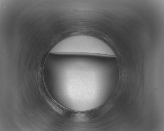 X0000081500265200701121146