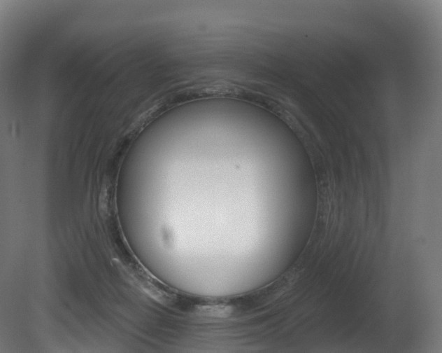 X0000081500266200701121146