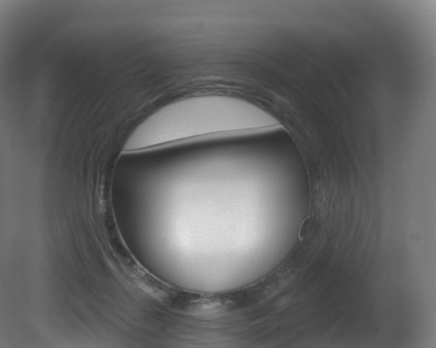 X0000081500267200701121146