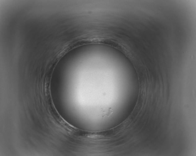 X0000081500268200701121146