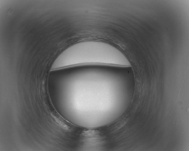X0000081500269200701121146