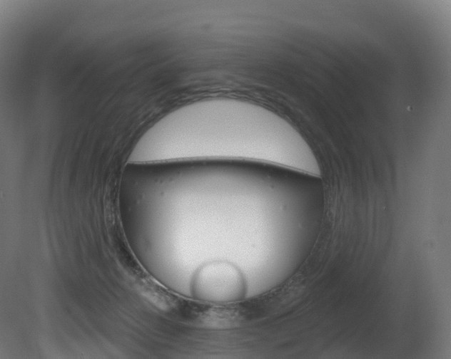 X0000081500270200701121146
