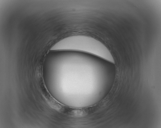 X0000081500272200701121146