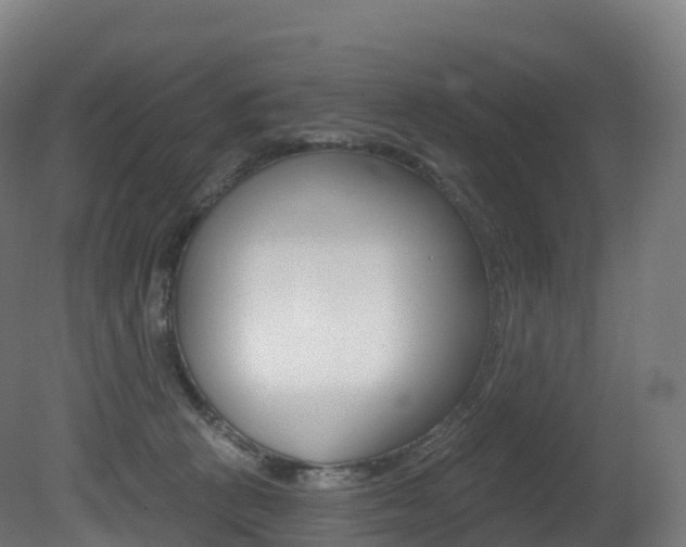 X0000081500273200701121146