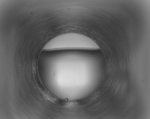 X0000081500274200701121146