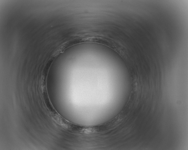 X0000081500275200701121146