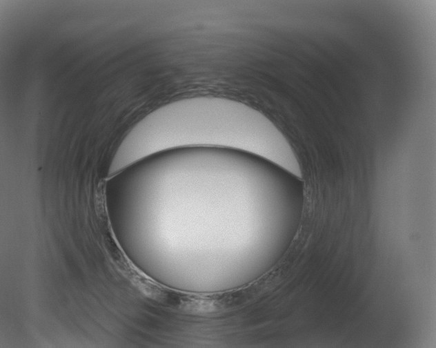 X0000081500276200701121146