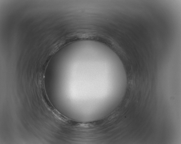 X0000081500277200701121146