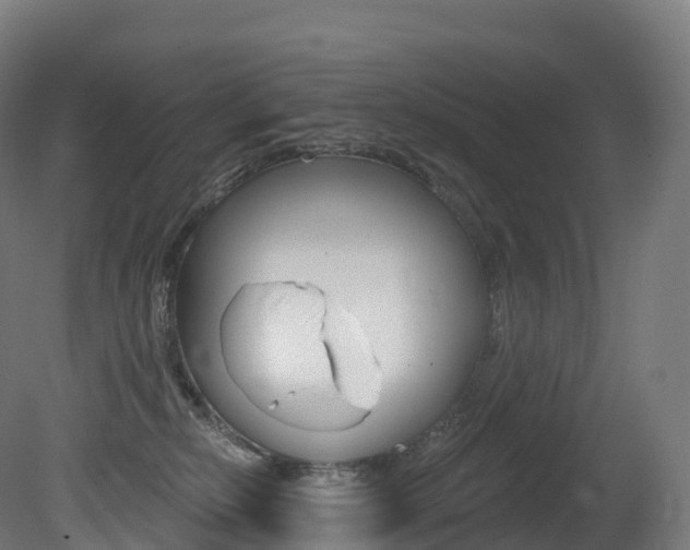 X0000081500278200701121146