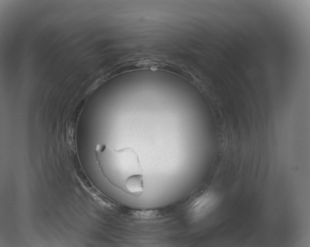X0000081500281200701121147