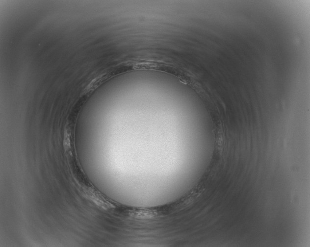 X0000081500282200701121147