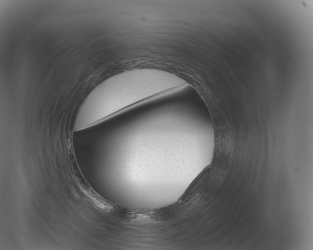 X0000081500285200701121147