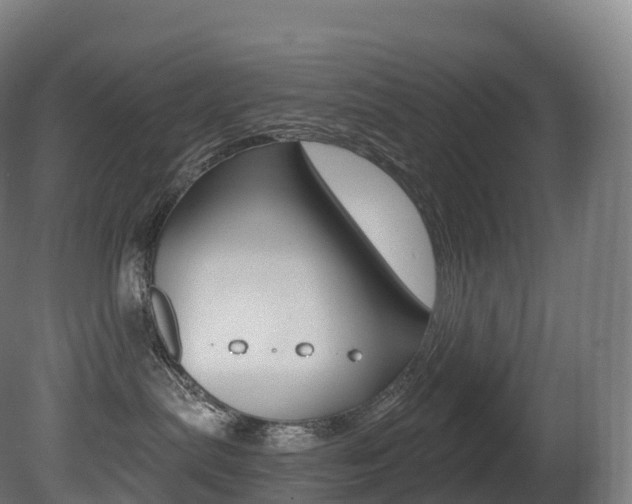 X0000081500287200701121147