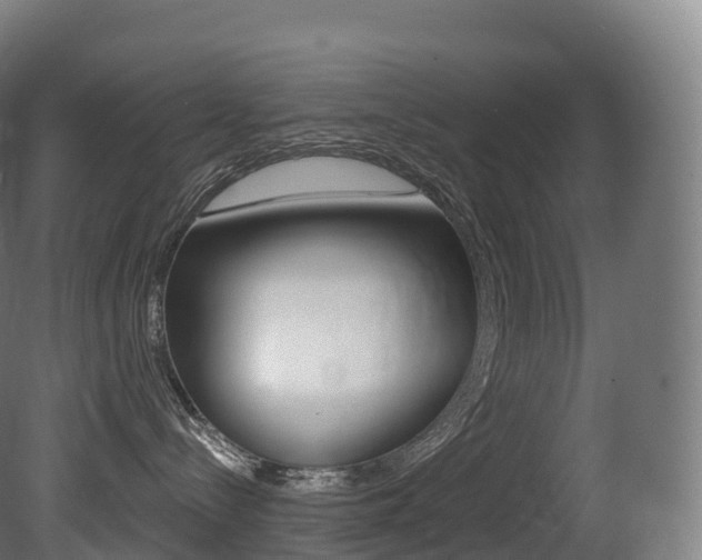 X0000081500288200701121147