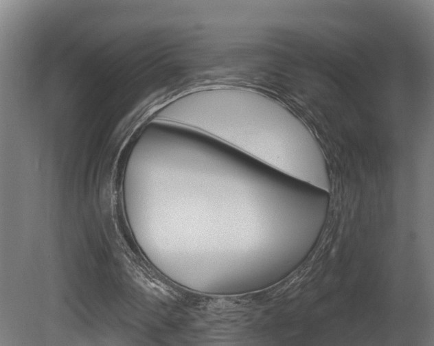 X0000081500290200701121146