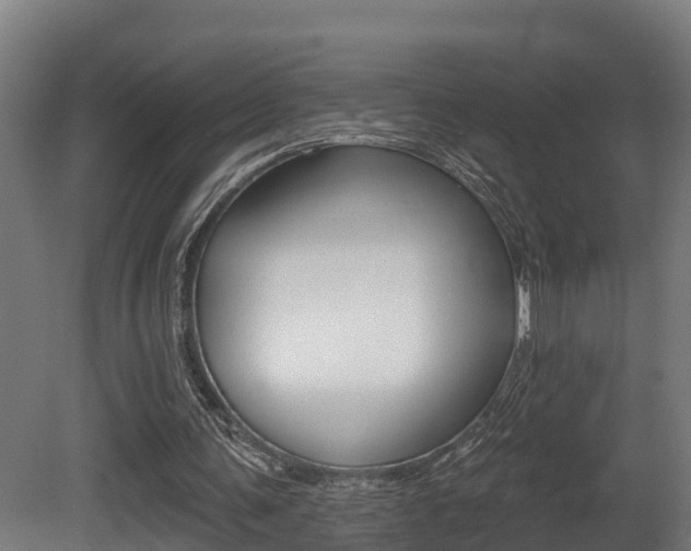 X0000081500291200701121146