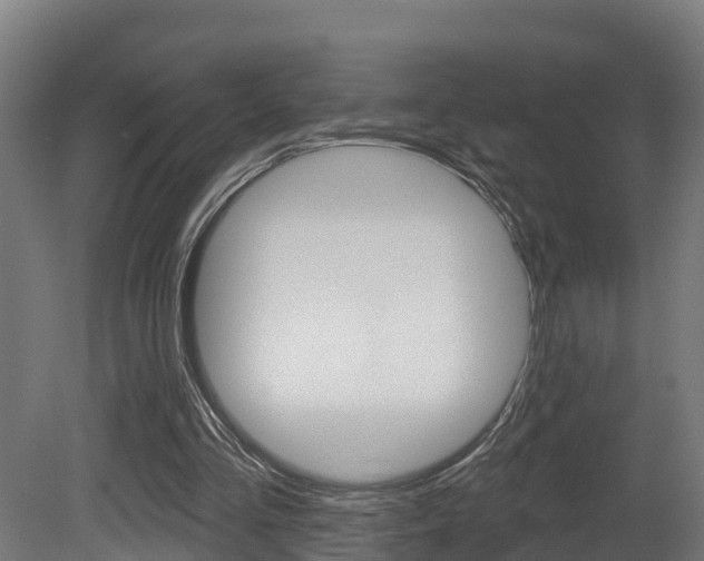 X0000081500293200701121146