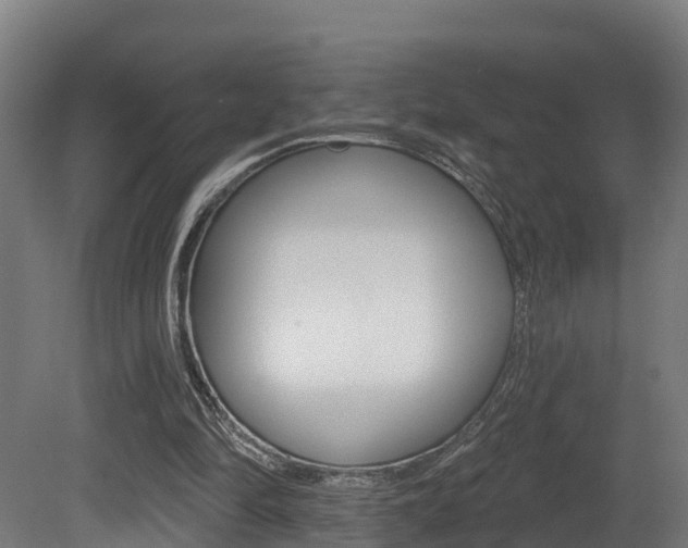 X0000081500294200701121146