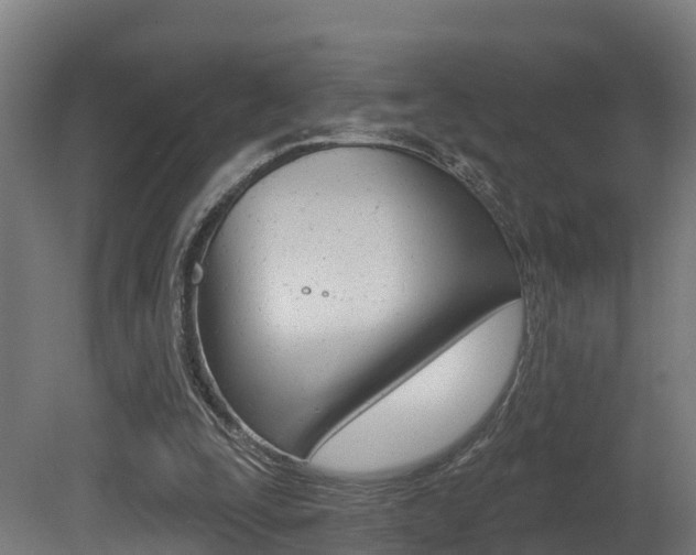 X0000081500295200701121146