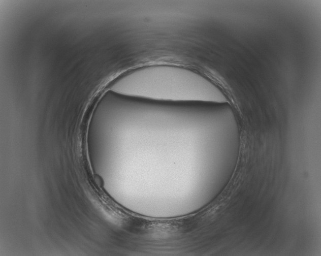 X0000081500298200701121146