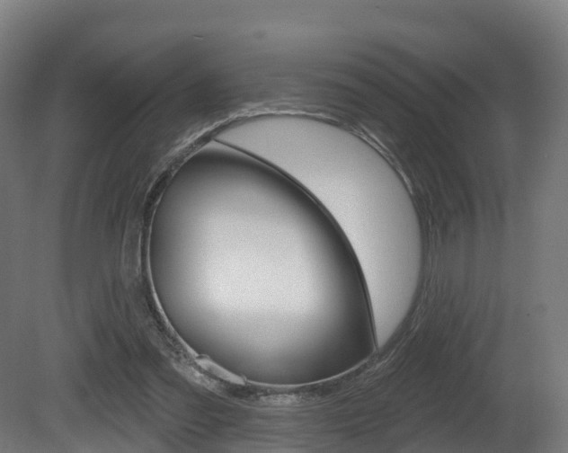 X0000081500301200701121146