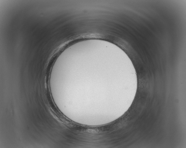 X0000081500302200701121146