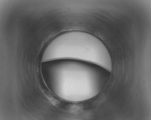 X0000081500303200701121146