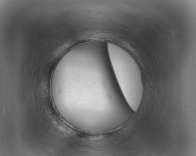 X0000081500306200701121146