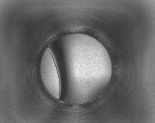 X0000081500308200701121146