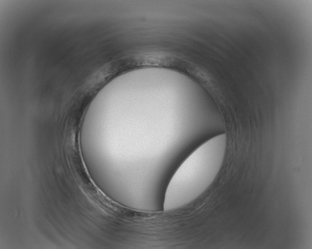 X0000081500310200701121145