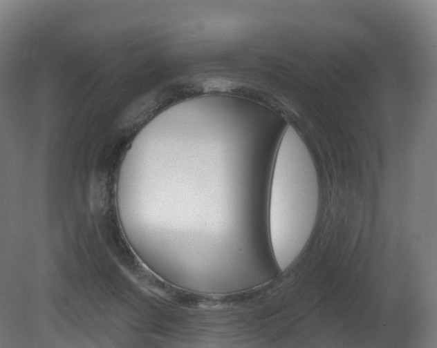 X0000081500311200701121145
