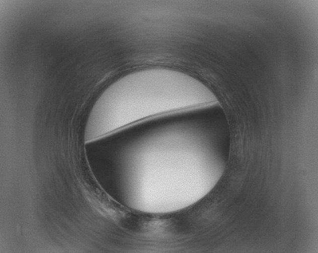 X0000081500312200701121145