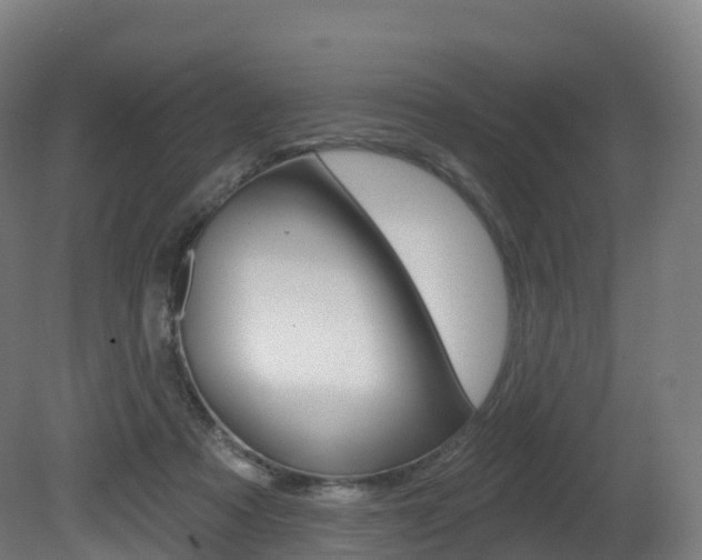X0000081500313200701121145