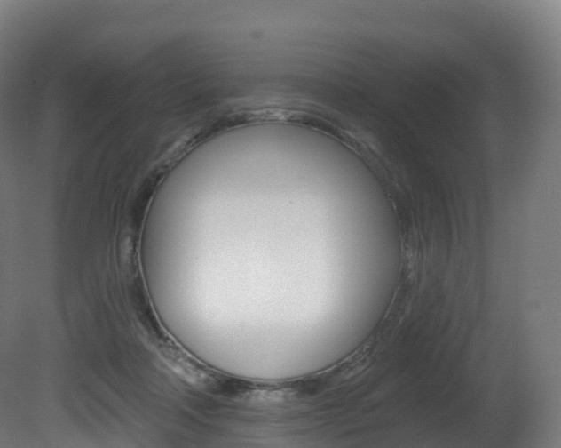 X0000081500314200701121145