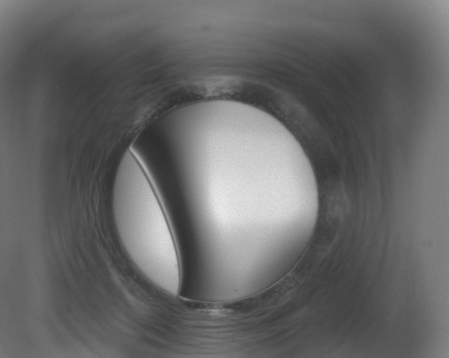 X0000081500316200701121145