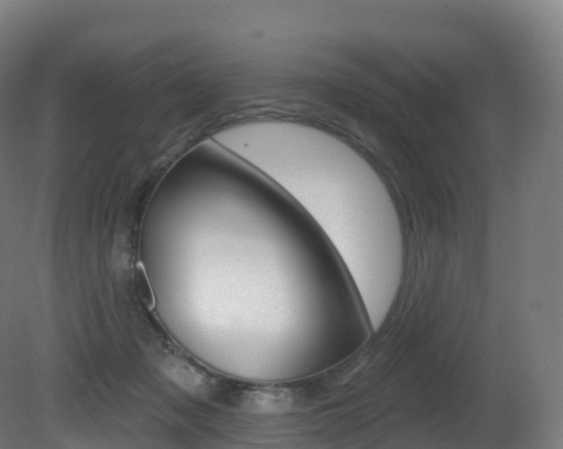 X0000081500317200701121145