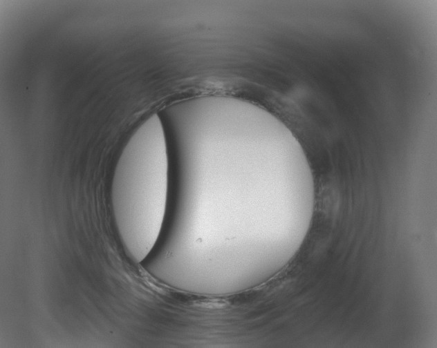 X0000081500318200701121145