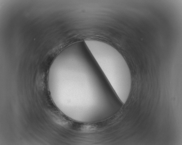 X0000081500319200701121145